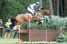 luhmuehlen-2011_cci4-047-jpg