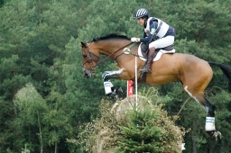 luhmuehlen-2011_cci4-048-jpg