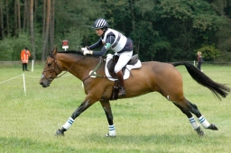 luhmuehlen-2011_cci4-050-jpg