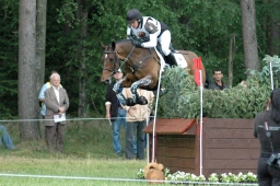 luhmuehlen-2011_cci4-051-jpg