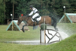 luhmuehlen-2011_cci4-052-jpg