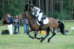 luhmuehlen-2011_cci4-053-jpg