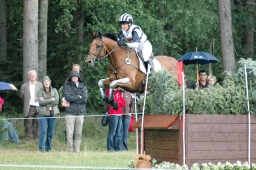 luhmuehlen-2011_cci4-054-jpg