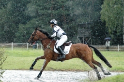 luhmuehlen-2011_cci4-056-jpg