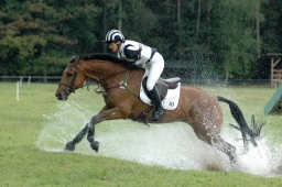 luhmuehlen-2011_cci4-058-jpg