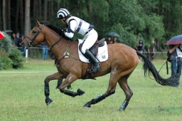 luhmuehlen-2011_cci4-060-jpg
