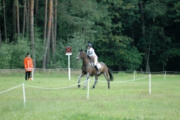 luhmuehlen-2011_cci4-061-jpg