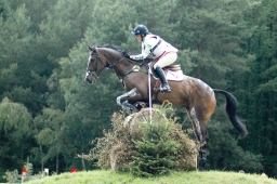 luhmuehlen-2011_cci4-063-jpg