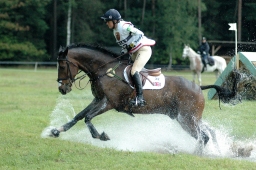 luhmuehlen-2011_cci4-066-jpg