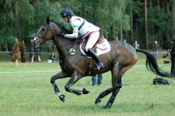 luhmuehlen-2011_cci4-067-jpg