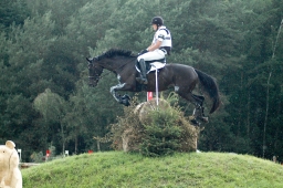 luhmuehlen-2011_cci4-070-jpg