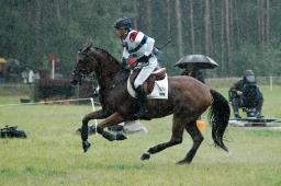 luhmuehlen-2011_cci4-074-jpg