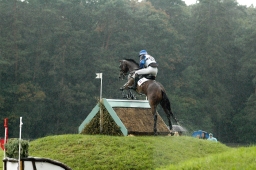 luhmuehlen-2011_cci4-076-jpg