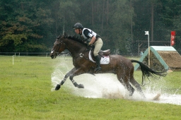 luhmuehlen-2011_cci4-082-jpg