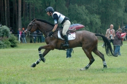 luhmuehlen-2011_cci4-083-jpg
