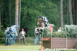 luhmuehlen-2011_cci4-084-jpg