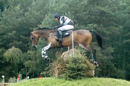 luhmuehlen-2011_cci4-085-jpg