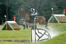 luhmuehlen-2011_cci4-087-jpg