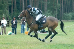 luhmuehlen-2011_cci4-088-jpg