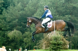 luhmuehlen-2011_cci4-090-jpg