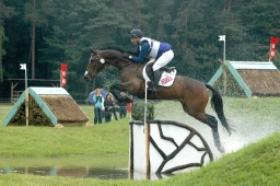 luhmuehlen-2011_cci4-091-jpg