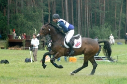 luhmuehlen-2011_cci4-092-jpg