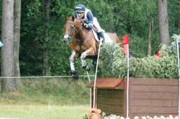 luhmuehlen-2011_cci4-093-jpg