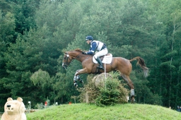 luhmuehlen-2011_cci4-094-jpg