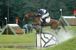 luhmuehlen-2011_cci4-095-jpg