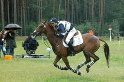 luhmuehlen-2011_cci4-096-jpg