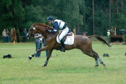 luhmuehlen-2011_cci4-097-jpg