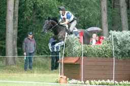 luhmuehlen-2011_cci4-099-jpg