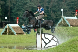 luhmuehlen-2011_cci4-101-jpg