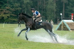 luhmuehlen-2011_cci4-102-jpg
