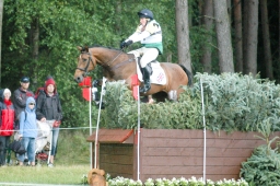 luhmuehlen-2011_cci4-103-jpg