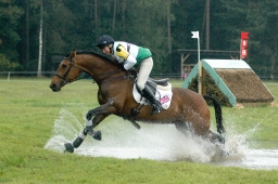 luhmuehlen-2011_cci4-106-jpg
