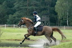 luhmuehlen-2011_cci4-108-jpg