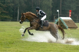 luhmuehlen-2011_cci4-111-jpg