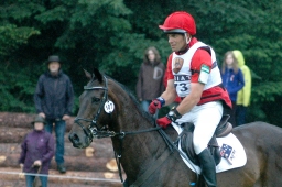 luhmuehlen-2011_cci4-113-jpg