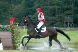 luhmuehlen-2011_cci4-115-jpg