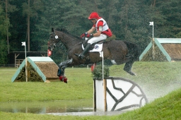 luhmuehlen-2011_cci4-117-jpg