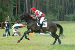 luhmuehlen-2011_cci4-118-jpg