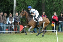 luhmuehlen-2011_cci4-120-jpg
