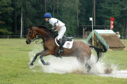 luhmuehlen-2011_cci4-124-jpg