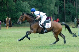 luhmuehlen-2011_cci4-125-jpg