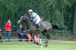 luhmuehlen-2011_cci4-128-jpg