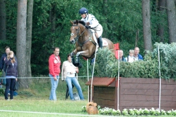 luhmuehlen-2011_cci4-130-jpg