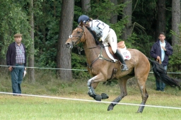 luhmuehlen-2011_cci4-131-jpg