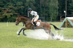 luhmuehlen-2011_cci4-135-jpg