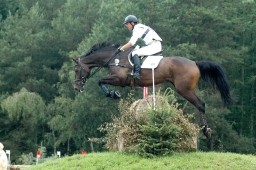 luhmuehlen-2011_cci4-137-jpg